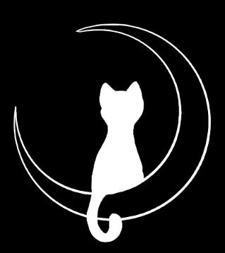 Casal Gato Lua