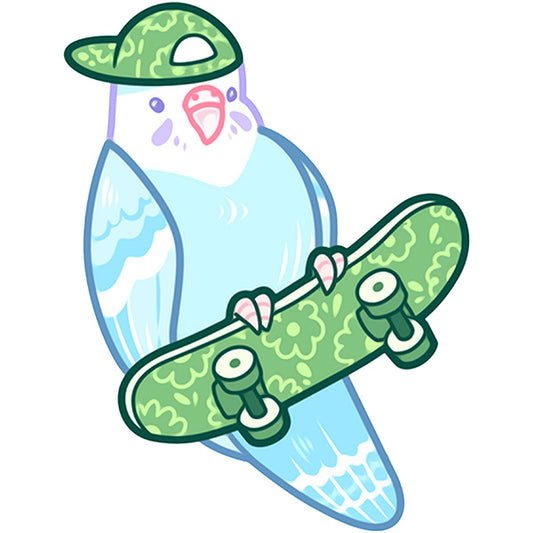 Estampa Aplicável DTF Bird Pets Passáro Skate